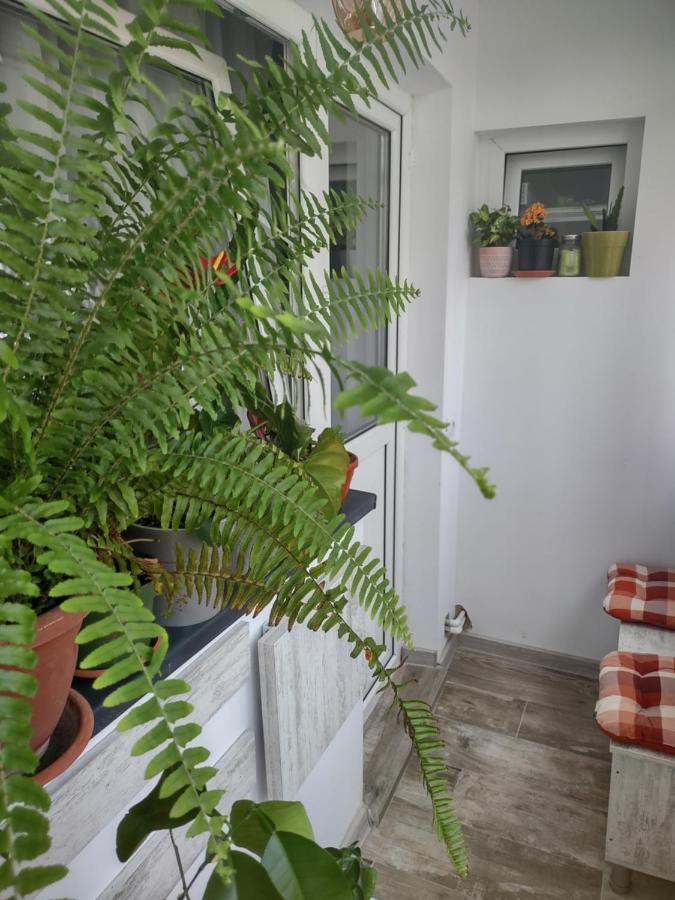 Apartament بيتستِ المظهر الخارجي الصورة